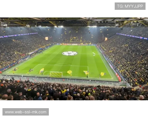 威斯特法伦球场升级,多特蒙德主场设施优化 威斯特法伦球场升级,多特蒙德主场设施优化